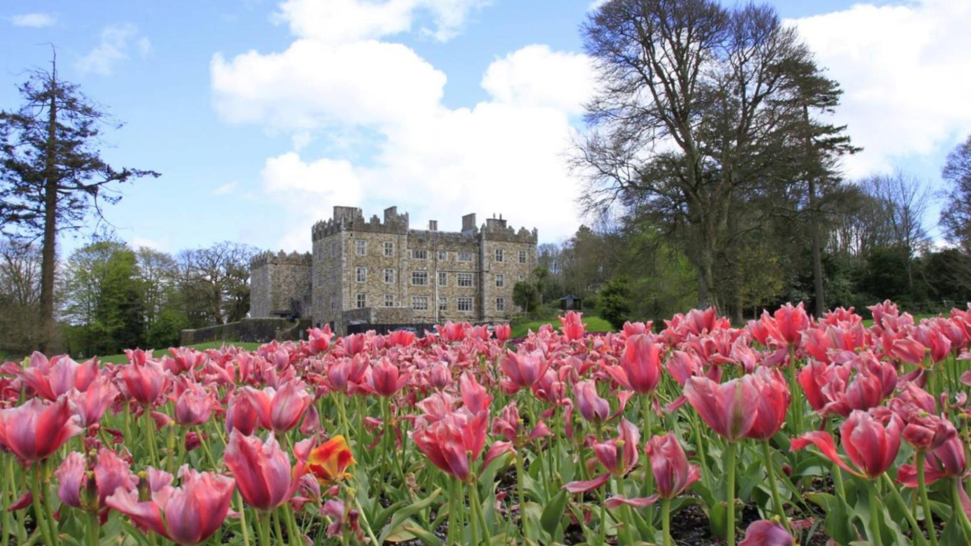 Waterford Castle Hotel Lodges Екстер'єр фото